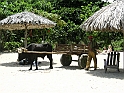 playa maguana-40